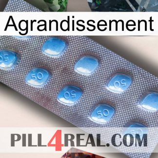 Enlargenexx viagra3